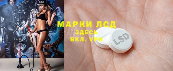 мет Касимов