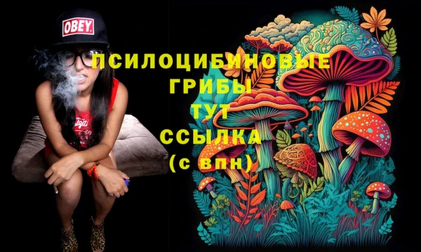 прущие крисы Баксан