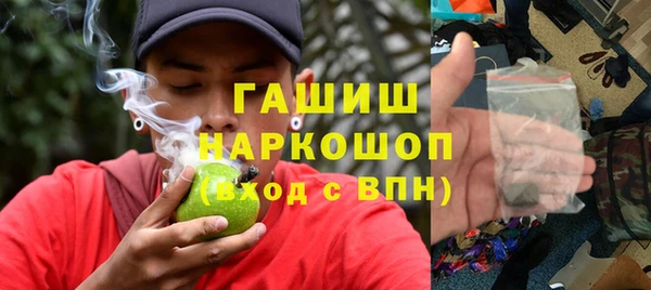 прущие грибы Армянск